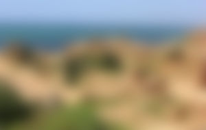 Expresssendungen nach Algerien