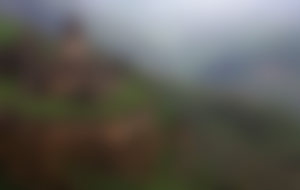 Preiswerte Sendungen nach Armenien