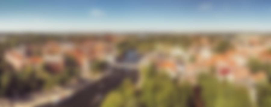 Brandenburg3