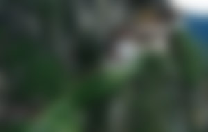 Preiswerte Sendungen nach Bhutan