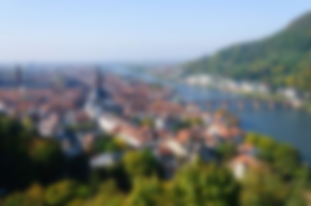 Heidelberg3