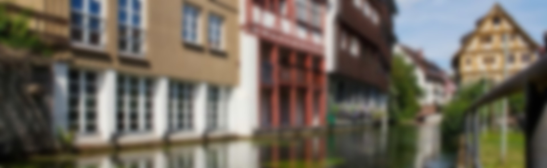 Ulm3